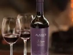 Os Melhores Vinhos Malbec Argentinos Premiados: Guia 2023