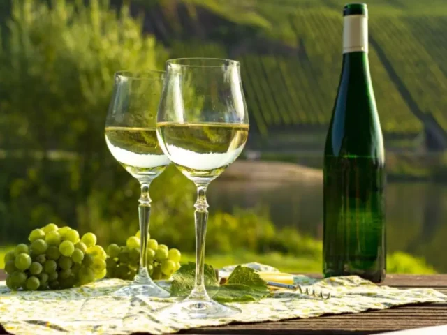 Os Melhores Vinhos Riesling Alemães da Região do Mosel: Uma Jornada de Sabor
