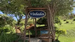 Explorando a História do Vinho: Museus e Rotas Enológicas pelo Mundo