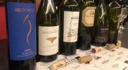 Vinhos Malbec de Cahors: Desvendando uma Preciosa Alternativa à Argentina