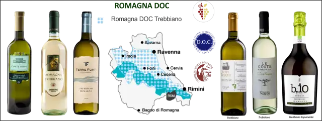 Vinhos Trebbiano da Itália: Leveza e Versatilidade no Copo