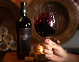 Portugal: Uma Aventura Através dos Sabores de Vinhos Únicos