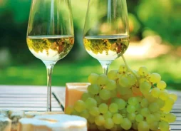 Guia Completo sobre Vinho Verde: Origem, Sabores e Harmonizações