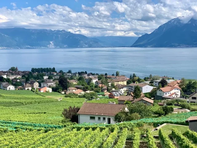 Suíça: Uma Jornada Enoturística Pelos Vinhedos Alpinos