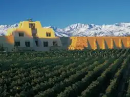 Enoturismo para Famílias: Vinícolas Sul-Americanas com Atividades Infantis