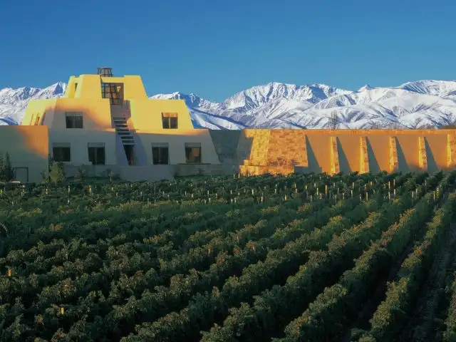 Enoturismo para Famílias: Vinícolas Sul-Americanas com Atividades Infantis