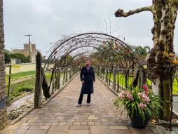 Descobrindo o Enoturismo na Europa: Uma Jornada Pelos Vinhedos