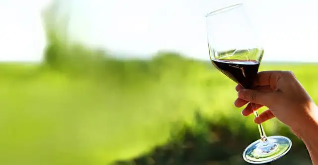 A Arte da Assemblage: Combinando Uvas Para Criar Vinhos Complexos