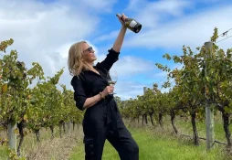 Áustria: Vinhos e Vinícolas no Coração da Europa