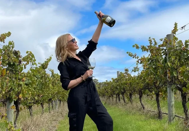 Áustria: Vinhos e Vinícolas no Coração da Europa