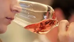 Vinhos Rosé: As Uvas Mais Utilizadas e Seus Segredos