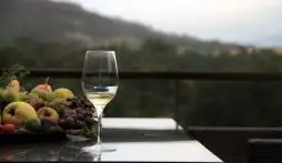 Explorando as Vinícolas do Vinho Verde em Portugal