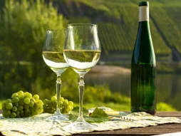 Alemanha: Uma Rota Surpreendente de Enoturismo Além do Riesling