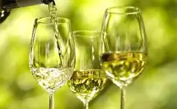 Vinho Verde: Sua História, Cultura e Importância em Portugal